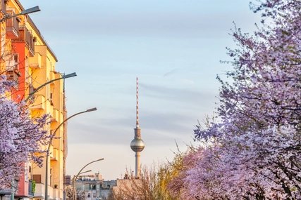 Frühling in Berlin Frühling in Berlin: Strassen mit blühenden Bäumen
