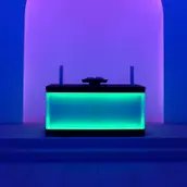 JAMES TURRELL - Lichtkunstpräsentation