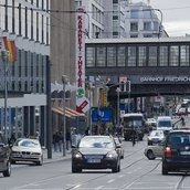Distel in der Friedrichstraße
