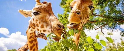 Tierpark Berlin