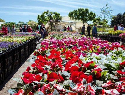 Gartenmarkt "Späth'er Frühling"