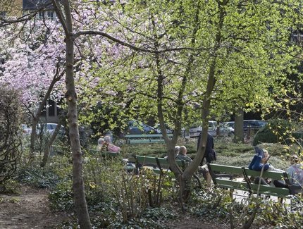 Berliner im Park