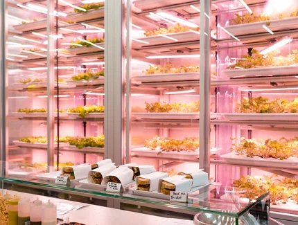 Ristorante Good Bank a Berlino